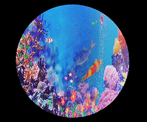 Circular LED Display